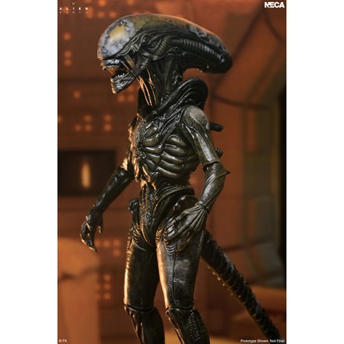 Alien: Earth Ultimate Wendy's Xenomorph 7-Inch Scale Action Figure