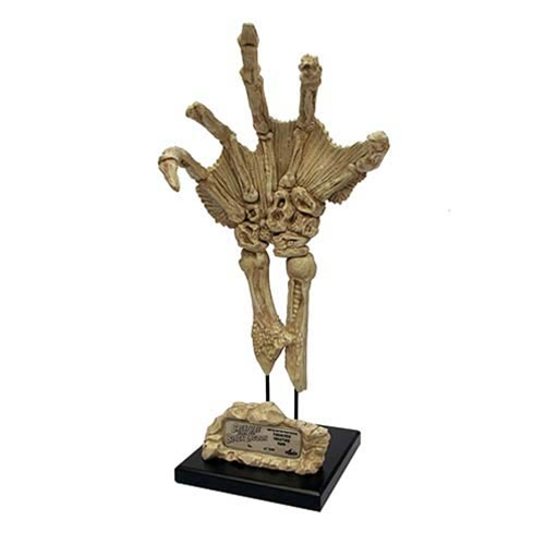 Creature from the Black Lagoon Fossilized Hand Prop Replica