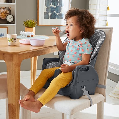 Fisher-Price Deluxe High Chair
