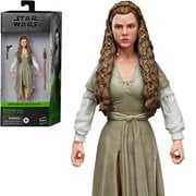 Star Wars The Black Series Princess Leia (Ewok Dress) 6-Inch Action Figure, Not Mint