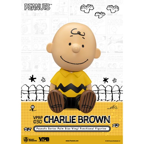 Peanuts Charlie Brown VPBP-030 Peanuts Series Palm Size Vinyl Functional Piggy Bank