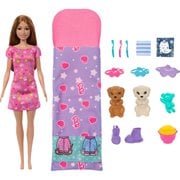 Barbie Slumber Party Accessories and Doll