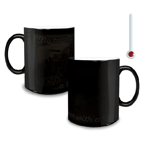 Fantastic Beasts and Where to Find Them Broom with a View Morphing Mug