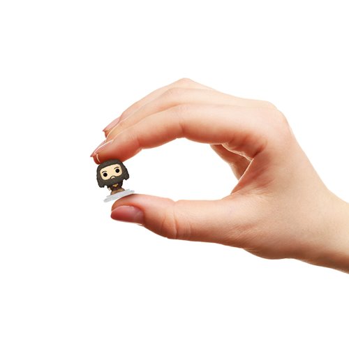 Harry Potter and the Goblet of Fire Hagrid Funko Bitty Pop! Mini-Figure 4-Pack