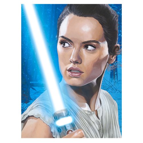 Star Wars: The Force Awakens Reluctant Warrior by Randy Martinez Canvas Giclee Art Print
