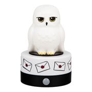 Harry Potter Hedwig Room Guard