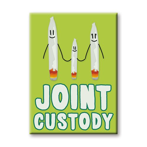 Joint Custody Flat Magnet