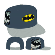 Batman Hero Sider 950 Snap Back Cap
