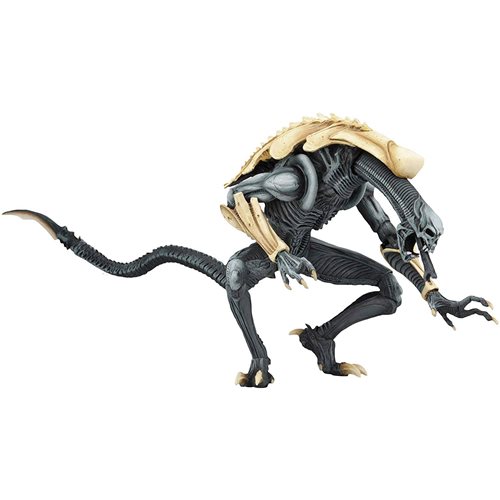 Alien vs Predator Xenomorph Arcade Version Chrysalis Alien Action