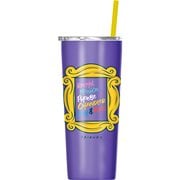 Friends 22 oz. Stainless Steel Tumbler with Straw