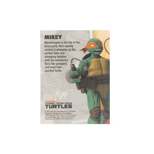 Teenage Mutant Ninja Turtles BST AXN Michelangelo IDW Comic Wave 1 5-Inch Action Figure