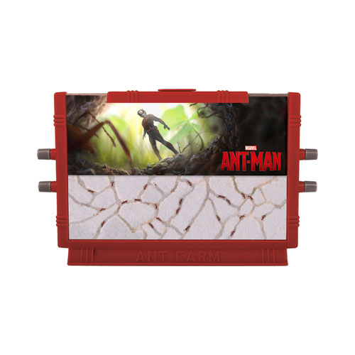 Ant-Man Ant Farm