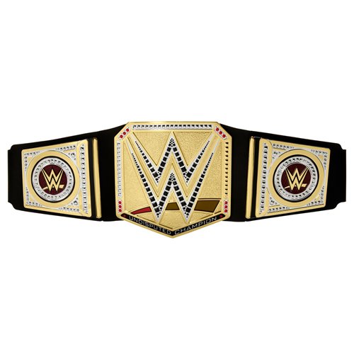 WWE Championship Title Belt Case of 4