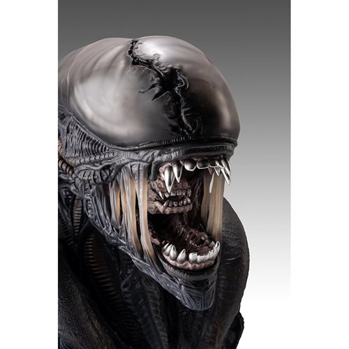 Alien Romulus Xenomorph 1:1 Scale Life-Size Bust