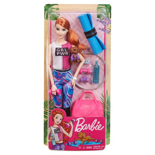 Barbie Wellness Doll Case