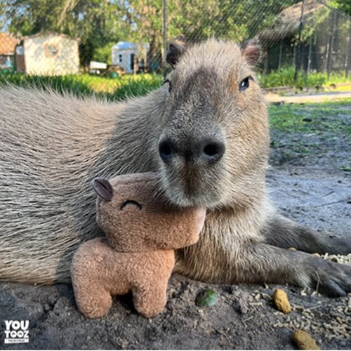 Youtooz Originals Capybara 9-Inch Plush