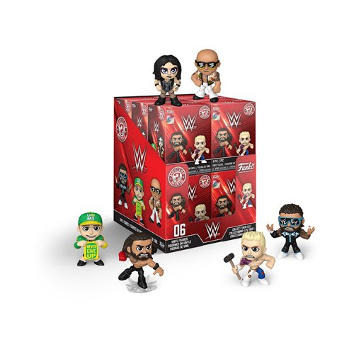 WWE Wave 27 Mystery Minis Mini-Figure Display Case of 12