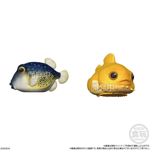Amphibians and Sea Creatures Glossy Tenori Friends Mini-Figure Case of 12