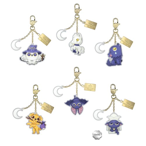Wild Magic Tarot Mystery Box Acrylic Bag Charm Case of 12