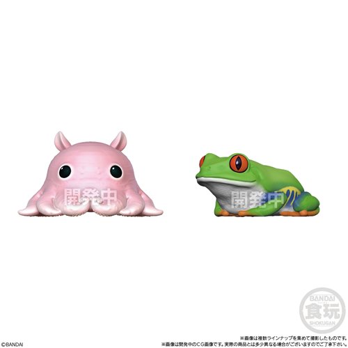 Amphibians and Sea Creatures Glossy Tenori Friends Mini-Figure Case of 12