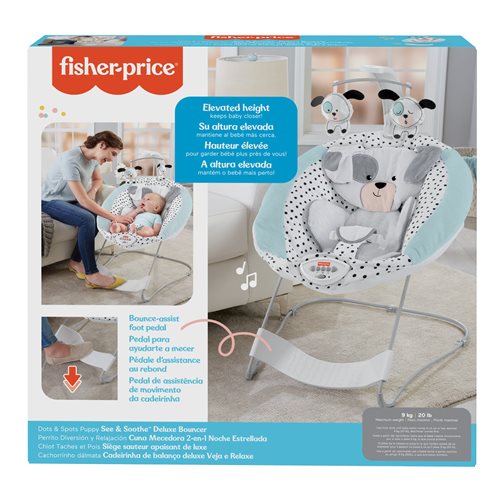 Fisher-Price See and Soothe Deluxe Bouncer