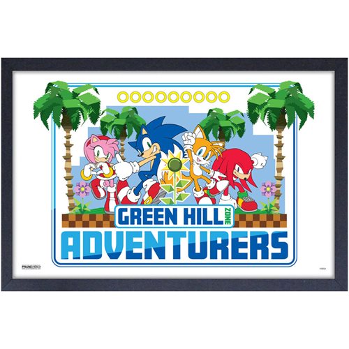 Sonic the Hedgehog Adventures Framed Art Print