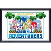 Sonic the Hedgehog Adventures Framed Art Print