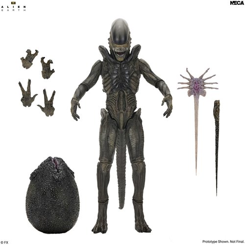 Alien: Earth Ultimate Xenomorph 7-Inch Scale Action Figure