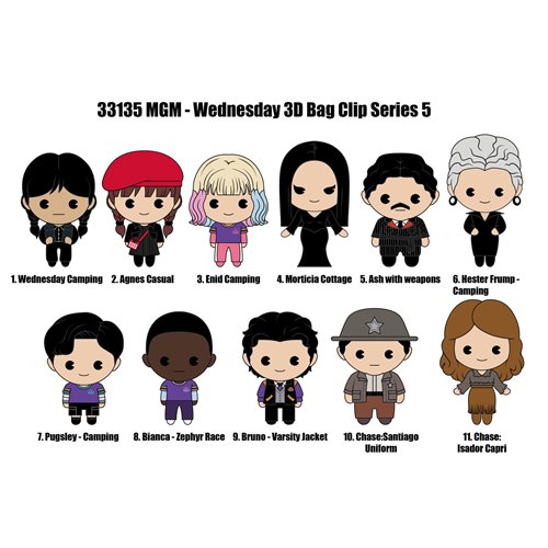 Wednesday Series 5 3D Foam Bag Clip Display Case of 24