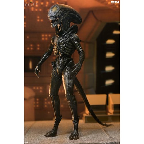 Alien: Earth Ultimate Wendy's Xenomorph 7-Inch Scale Action Figure