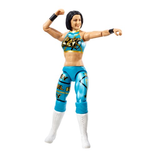 WWE Basic Figure Series 121 Action Figure Case