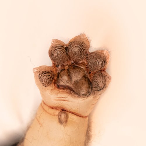 WerePups Toby Baby Werewolf Prop Replica