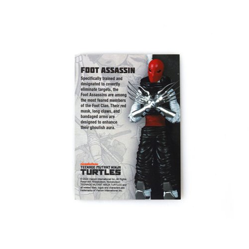 Teenage Mutant Ninja Turtles BST AXN IDW Foot Assassin 5-Inch Action Figure