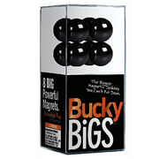 Buckybigs Magnetic Toy