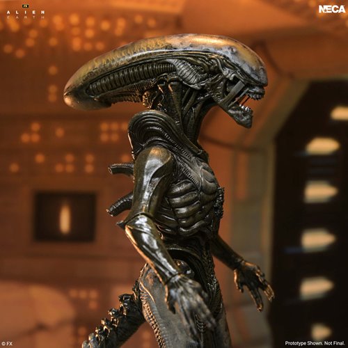 Alien: Earth Ultimate Wendy's Xenomorph 7-Inch Scale Action Figure