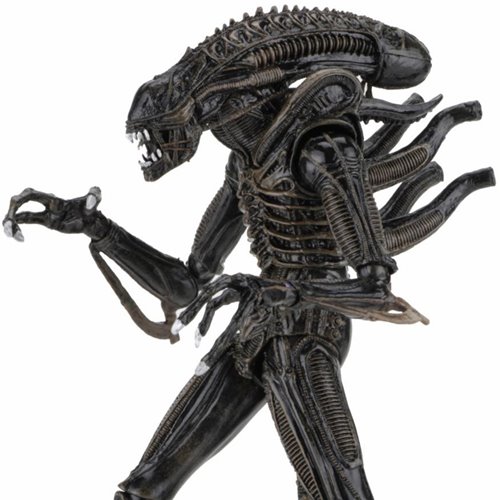 Aliens Ultimate Aliens Warrior (1986) Brown 7-Inch Scale Action Figure