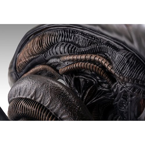 Alien Romulus Xenomorph 1:1 Scale Life-Size Bust