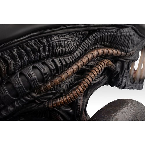 Alien Romulus Xenomorph 1:1 Scale Life-Size Bust
