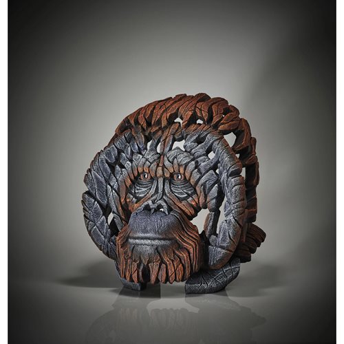 Edge Sculpture Orangutan by Matt Buckley Bust