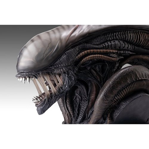 Alien Romulus Xenomorph 1:1 Scale Life-Size Bust