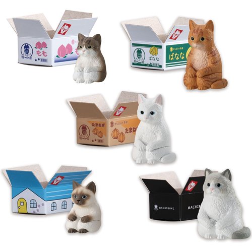 Machiboke Still Waiting Cat in a Box Blind Mini-Figure Display Case of 20