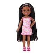 Barbie Family & Friends Club Chelsea Ari Doll