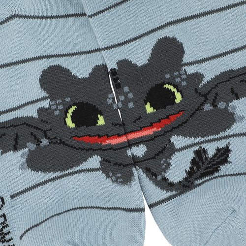 How to Train Your Dragon Toothless Lettuce Edge Ankle Sock 5-Pack