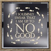 Harry Potter Solemnly Swear Lighted Sign