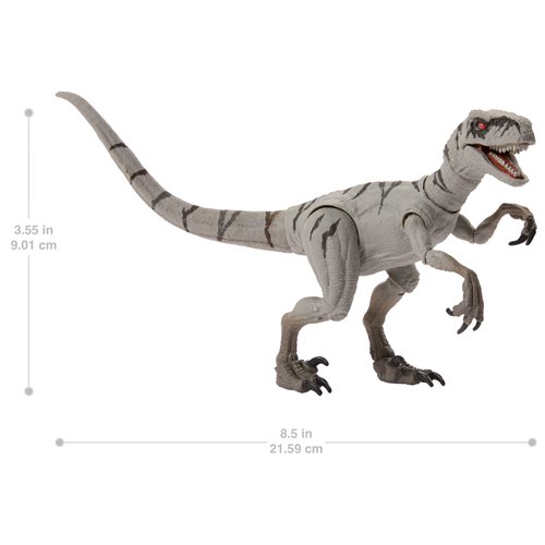 Jurassic World Hammond Collection Dinosaur Action Figure Case of 4