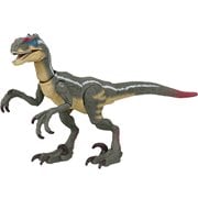 Jurassic World Hammond Collection Velociraptor Action Figure