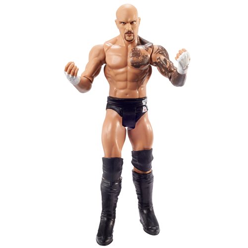 WWE Basic Figure Series 120 Action Figure Case