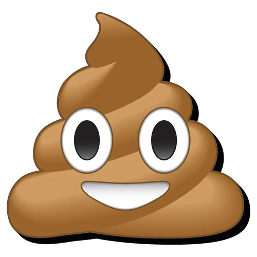 Wooden Nickel Geocoin Trackable Emoji-Poop 
