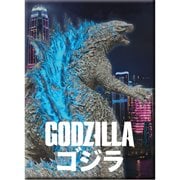 Godzilla vs. Kong City Godzilla Flat Magnet