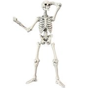 EPIC H.A.C.K.S. Bleached Remnants Blank Skeleton 1:12 Scale Action Figure